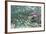 Underwater Spawning Salmon, Alaska-Paul Souders-Framed Photographic Print