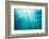 Underwater sunbeams, Kailua Bay, Oahu, Hawaii-Mark A Johnson-Framed Photographic Print