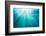 Underwater sunbeams, Kailua Bay, Oahu, Hawaii-Mark A Johnson-Framed Photographic Print