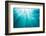 Underwater sunbeams, Kailua Bay, Oahu, Hawaii-Mark A Johnson-Framed Photographic Print