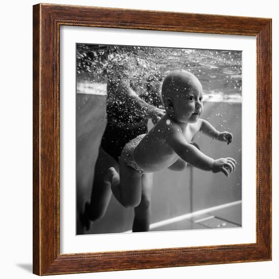 Underwater Swimming-Martin Krystynek-Framed Photographic Print