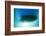 Underwater View of a Boat Hull Through the Waters of Florida Bay-James White-Framed Photographic Print