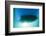 Underwater View of a Boat Hull Through the Waters of Florida Bay-James White-Framed Photographic Print