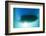 Underwater View of a Boat Hull Through the Waters of Florida Bay-James White-Framed Photographic Print