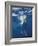 Underwater View of a Great White Shark, South Africa-Michele Westmorland-Framed Photographic Print