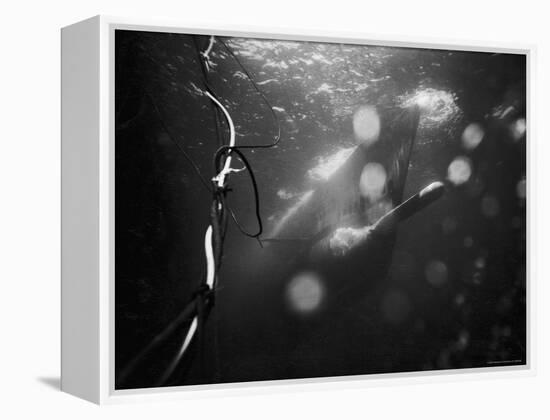 Underwater View of a Torpedo Being Launched from a Submarine-J^ R^ Eyerman-Framed Premier Image Canvas