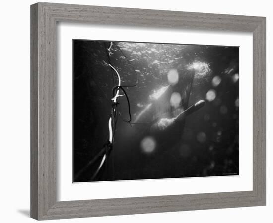 Underwater View of a Torpedo Being Launched from a Submarine-J^ R^ Eyerman-Framed Photographic Print