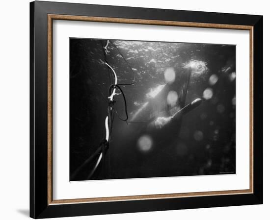 Underwater View of a Torpedo Being Launched from a Submarine-J^ R^ Eyerman-Framed Photographic Print