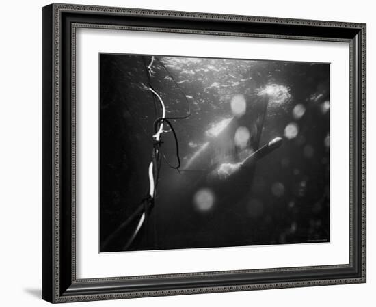 Underwater View of a Torpedo Being Launched from a Submarine-J^ R^ Eyerman-Framed Photographic Print