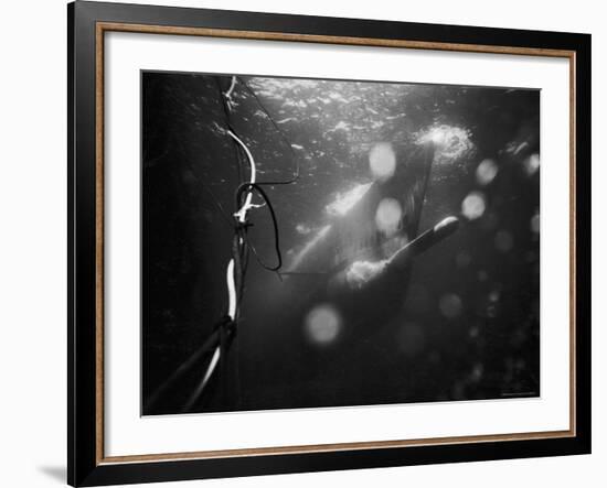 Underwater View of a Torpedo Being Launched from a Submarine-J^ R^ Eyerman-Framed Photographic Print