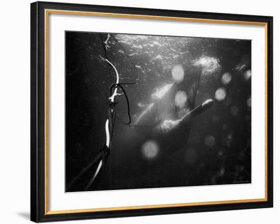 Underwater View of a Torpedo Being Launched from a Submarine-J^ R^ Eyerman-Framed Photographic Print