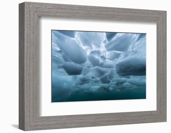 Underwater view of dense brash ice at Cuverville Island, Ererra Channel, Antarctica, Polar Regions-Michael Nolan-Framed Photographic Print