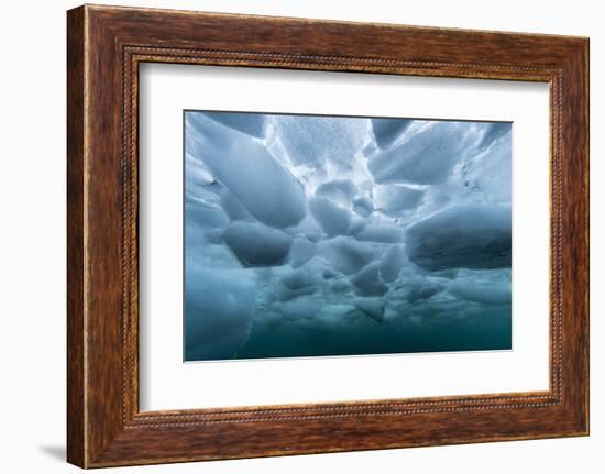 Underwater view of dense brash ice at Cuverville Island, Ererra Channel, Antarctica, Polar Regions-Michael Nolan-Framed Photographic Print