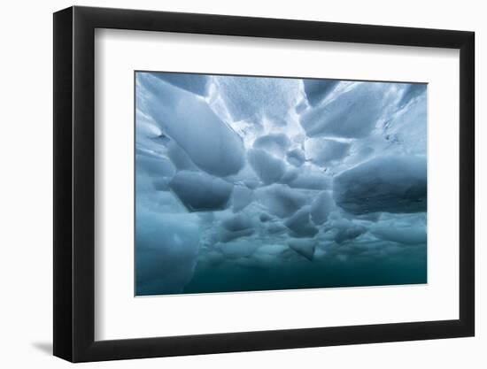 Underwater view of dense brash ice at Cuverville Island, Ererra Channel, Antarctica, Polar Regions-Michael Nolan-Framed Photographic Print