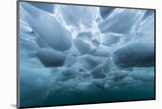 Underwater view of dense brash ice at Cuverville Island, Ererra Channel, Antarctica, Polar Regions-Michael Nolan-Mounted Photographic Print