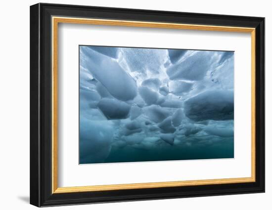 Underwater view of dense brash ice at Cuverville Island, Ererra Channel, Antarctica, Polar Regions-Michael Nolan-Framed Photographic Print