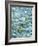 Underwater view of sea star and seashells, Bahamas-Stuart Westmorland-Framed Photographic Print