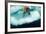 Underwater View of Walrus, Hudson Bay, Nunavut, Canada-Paul Souders-Framed Photographic Print