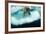 Underwater View of Walrus, Hudson Bay, Nunavut, Canada-Paul Souders-Framed Photographic Print