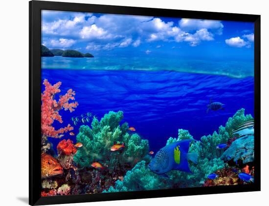 Photographic Print, , large