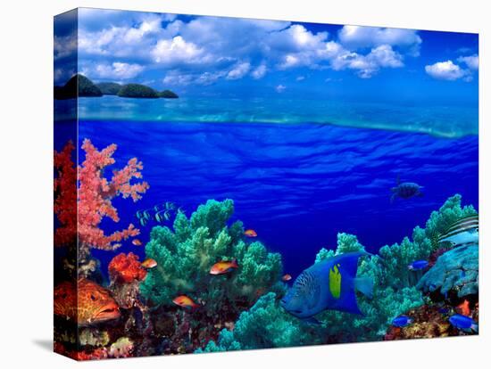 Stretched Canvas Print, , large
