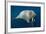 Underwater Walrus, Hudson Bay, Nunavut, Canada-Paul Souders-Framed Photographic Print