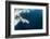 Underwater Walrus, Hudson Bay, Nunavut, Canada-Paul Souders-Framed Photographic Print