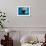 Underwater Walrus, Hudson Bay, Nunavut, Canada-Paul Souders-Framed Photographic Print displayed on a wall