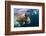 Underwater Walrus, Hudson Bay, Nunavut, Canada-Paul Souders-Framed Photographic Print