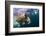 Underwater Walrus, Hudson Bay, Nunavut, Canada-Paul Souders-Framed Photographic Print