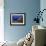 Underwater World-Martin Nasim-Framed Giclee Print displayed on a wall