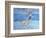 Underwater-Sarah Butterfield-Framed Giclee Print