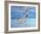 Underwater-Sarah Butterfield-Framed Giclee Print