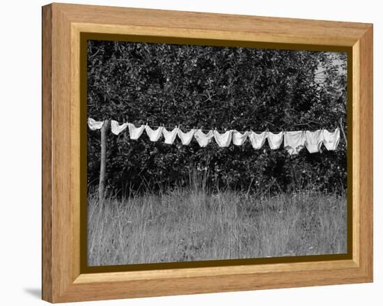 Underwear Hanging to Dry-Owen Franken-Framed Premier Image Canvas