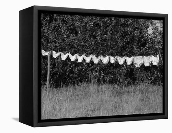 Underwear Hanging to Dry-Owen Franken-Framed Premier Image Canvas