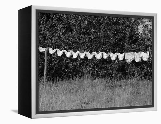 Underwear Hanging to Dry-Owen Franken-Framed Premier Image Canvas