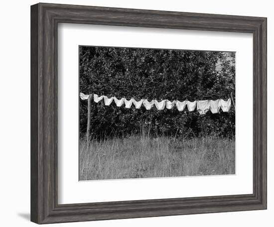 Underwear Hanging to Dry-Owen Franken-Framed Photographic Print