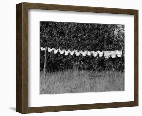 Underwear Hanging to Dry-Owen Franken-Framed Photographic Print