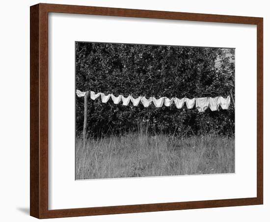 Underwear Hanging to Dry-Owen Franken-Framed Photographic Print