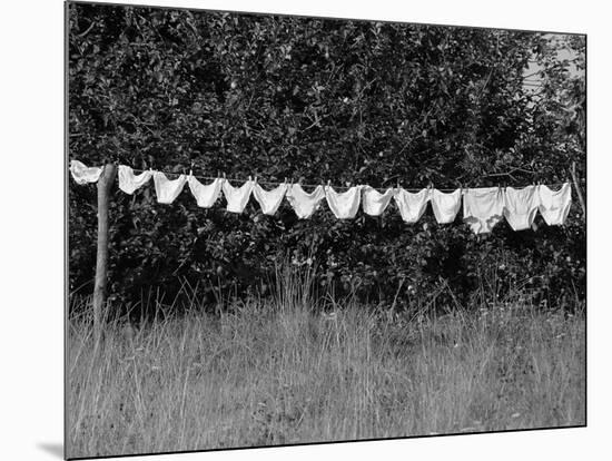 Underwear Hanging to Dry-Owen Franken-Mounted Photographic Print