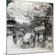 Premium Photographic Print