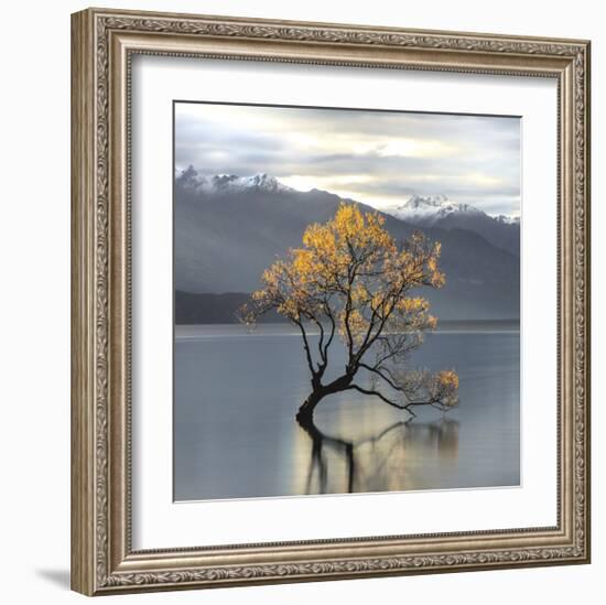 Undisturbed-Michael Cahill-Framed Giclee Print