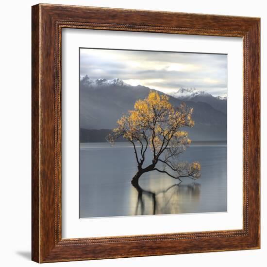 Undisturbed-Michael Cahill-Framed Giclee Print