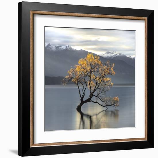 Undisturbed-Michael Cahill-Framed Giclee Print