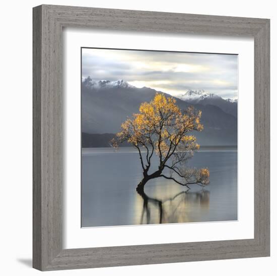 Undisturbed-Michael Cahill-Framed Giclee Print