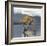 Undisturbed-Michael Cahill-Framed Giclee Print