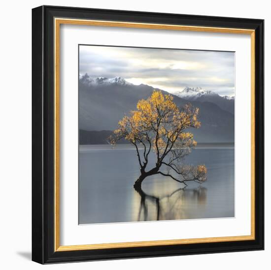 Undisturbed-Michael Cahill-Framed Giclee Print