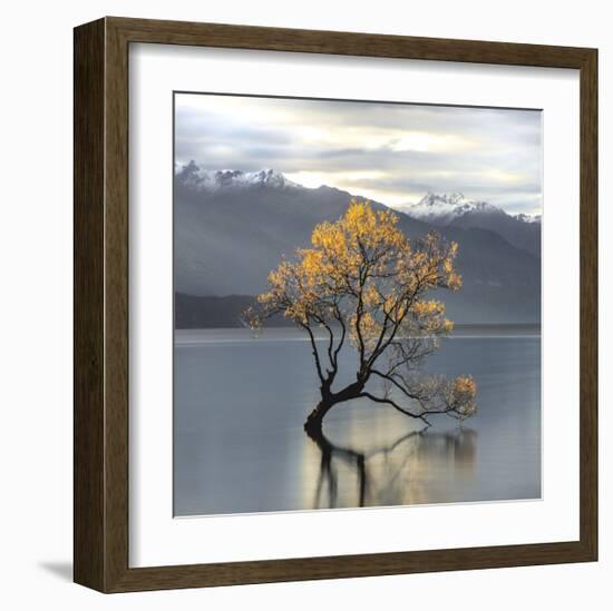 Undisturbed-Michael Cahill-Framed Giclee Print