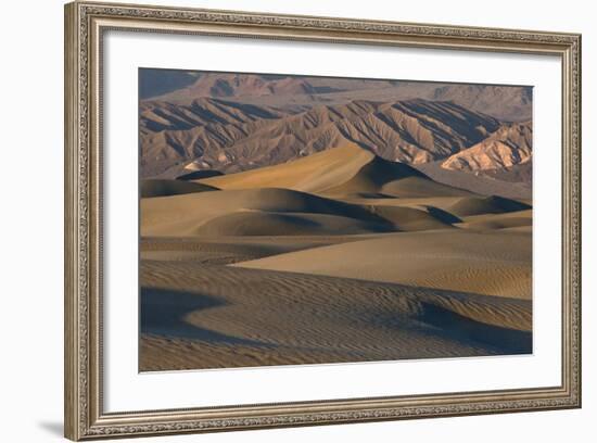 Undulating Sand Dunes of Death Valley in Golden Light-Sheila Haddad-Framed Photographic Print