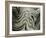 Undulation II-Farrell Douglass-Framed Giclee Print